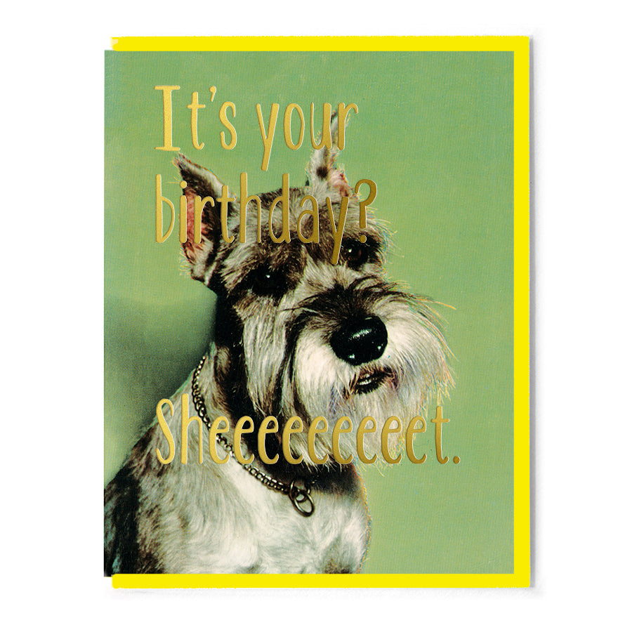 Birthday Sheeeeet Card