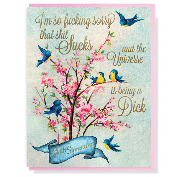 I'm Sorry The Universe Is Being A Dick Sympathy Card
