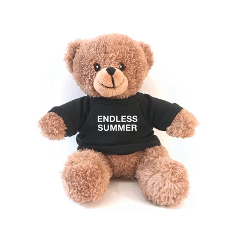 Teddy - Endless Summer