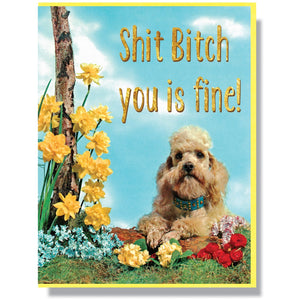 Shit Bitch, You Is Fine Card