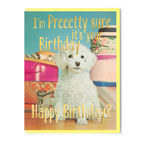 I'm Pretty Sure It's Your Birthday. Happy Birthday? Card